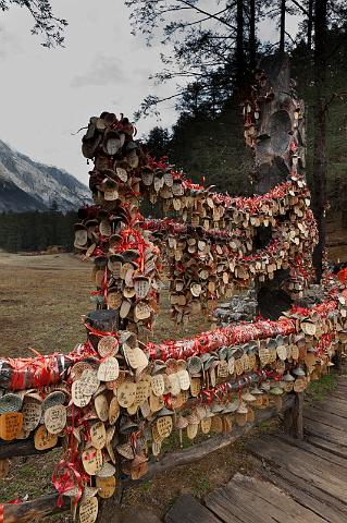 094 Lijiang, jade dragon snow mountain.jpg